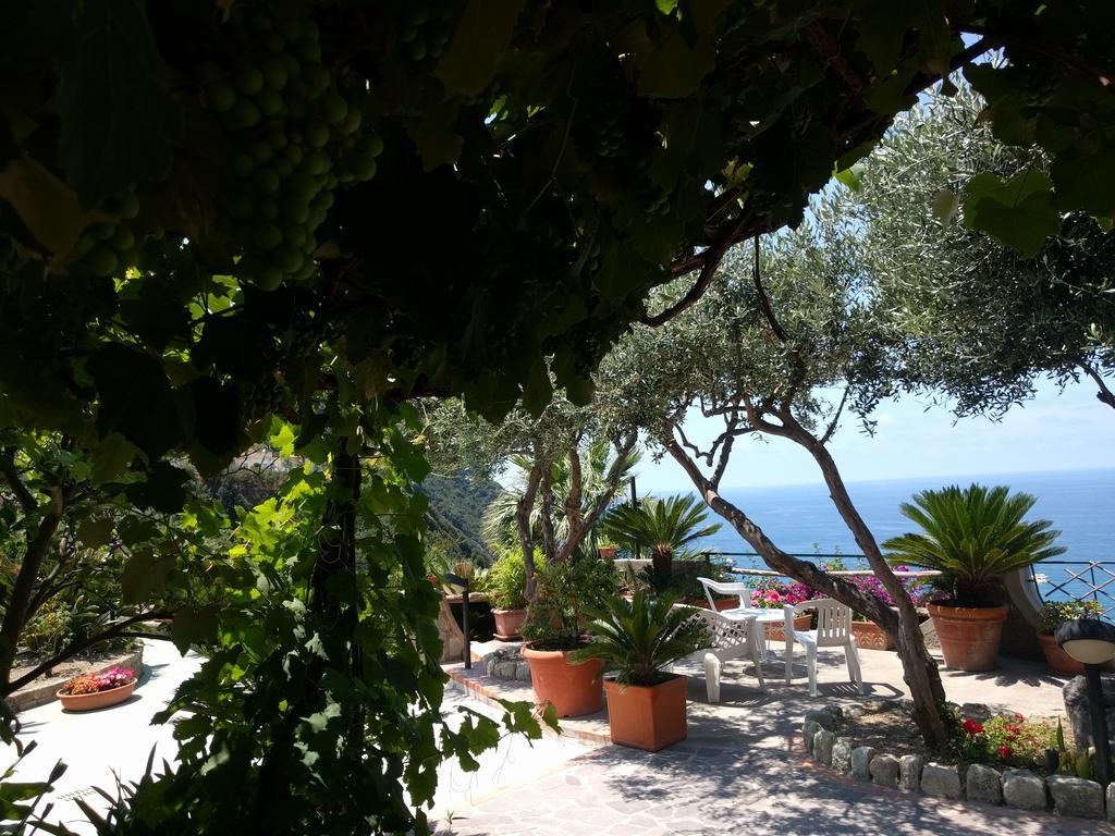 Residence Giardino Del Sole Forio  Exterior photo