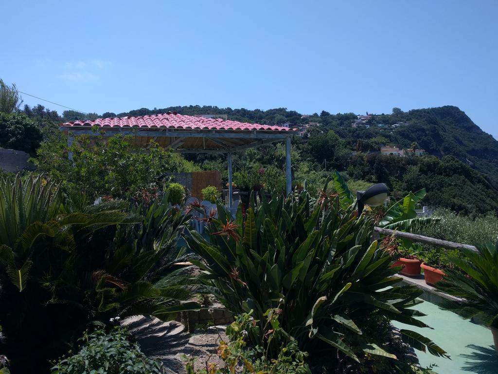 Residence Giardino Del Sole Forio  Exterior photo