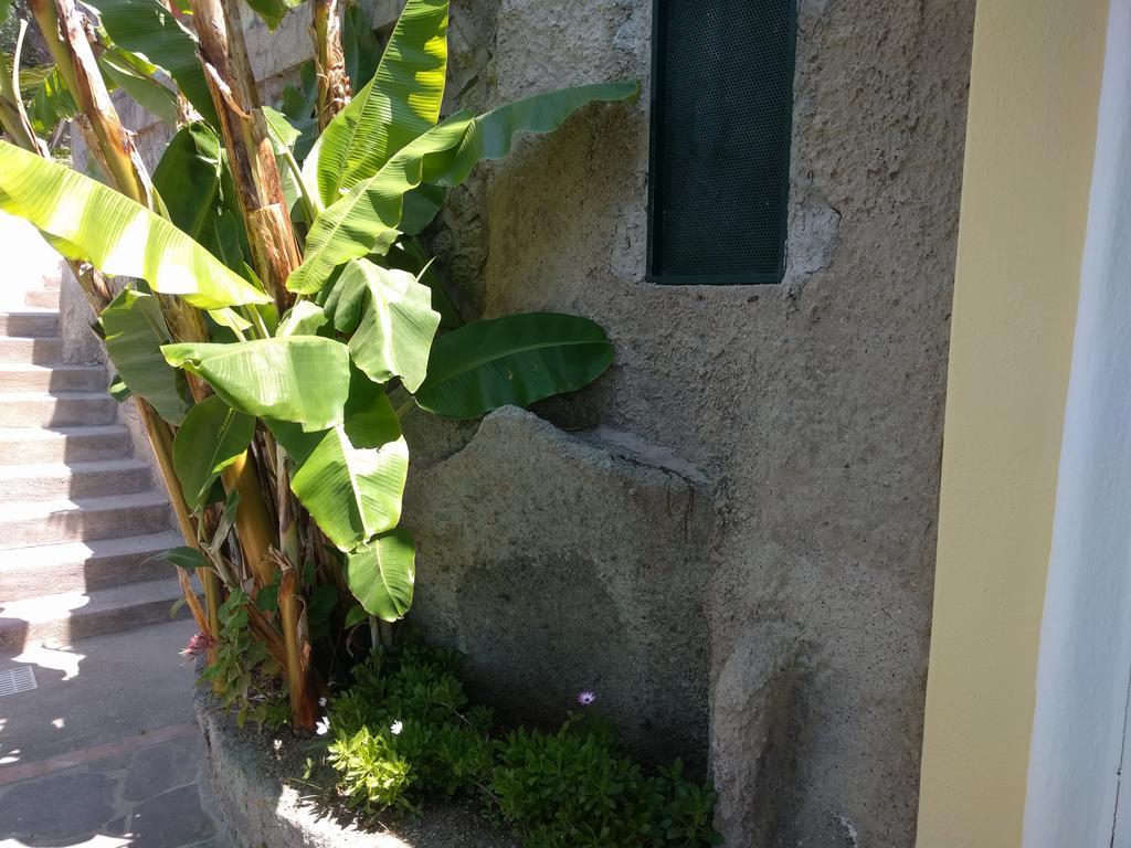 Residence Giardino Del Sole Forio  Exterior photo